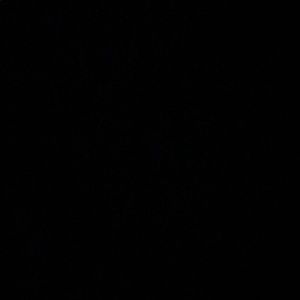 Meet your Posher, Shawn